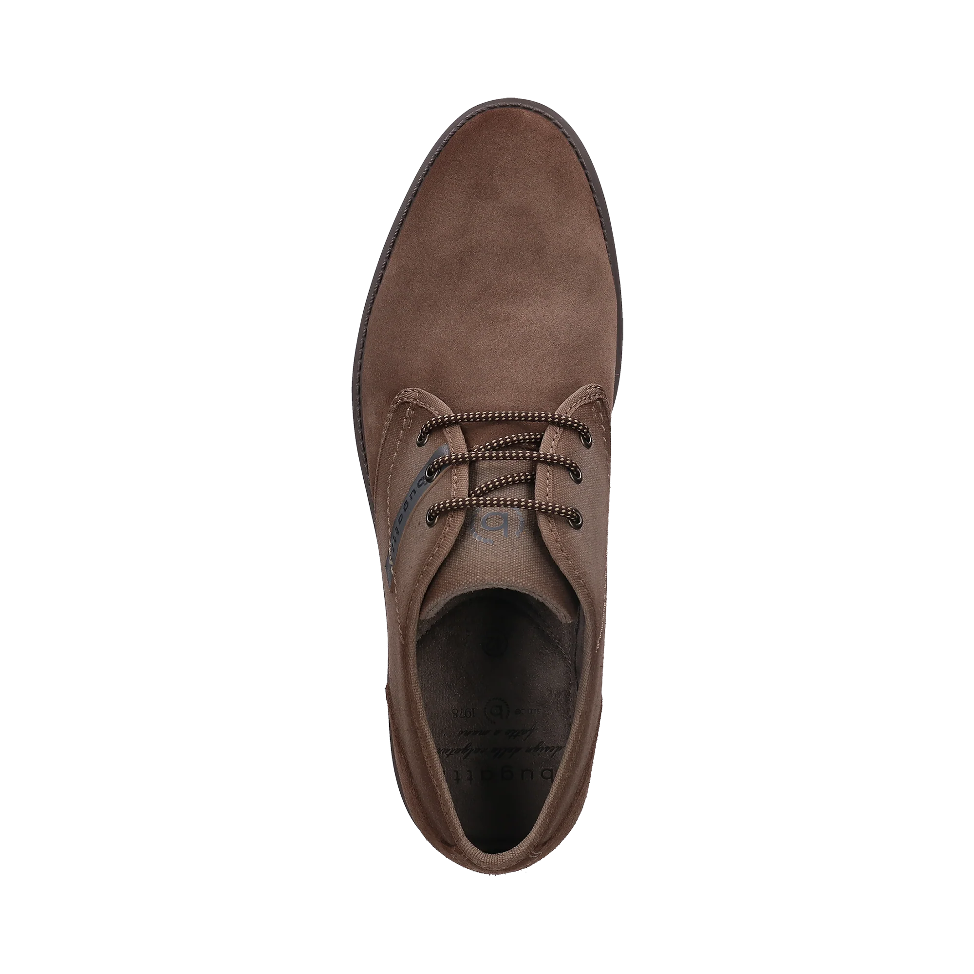 Schnürer taupe - Image 6