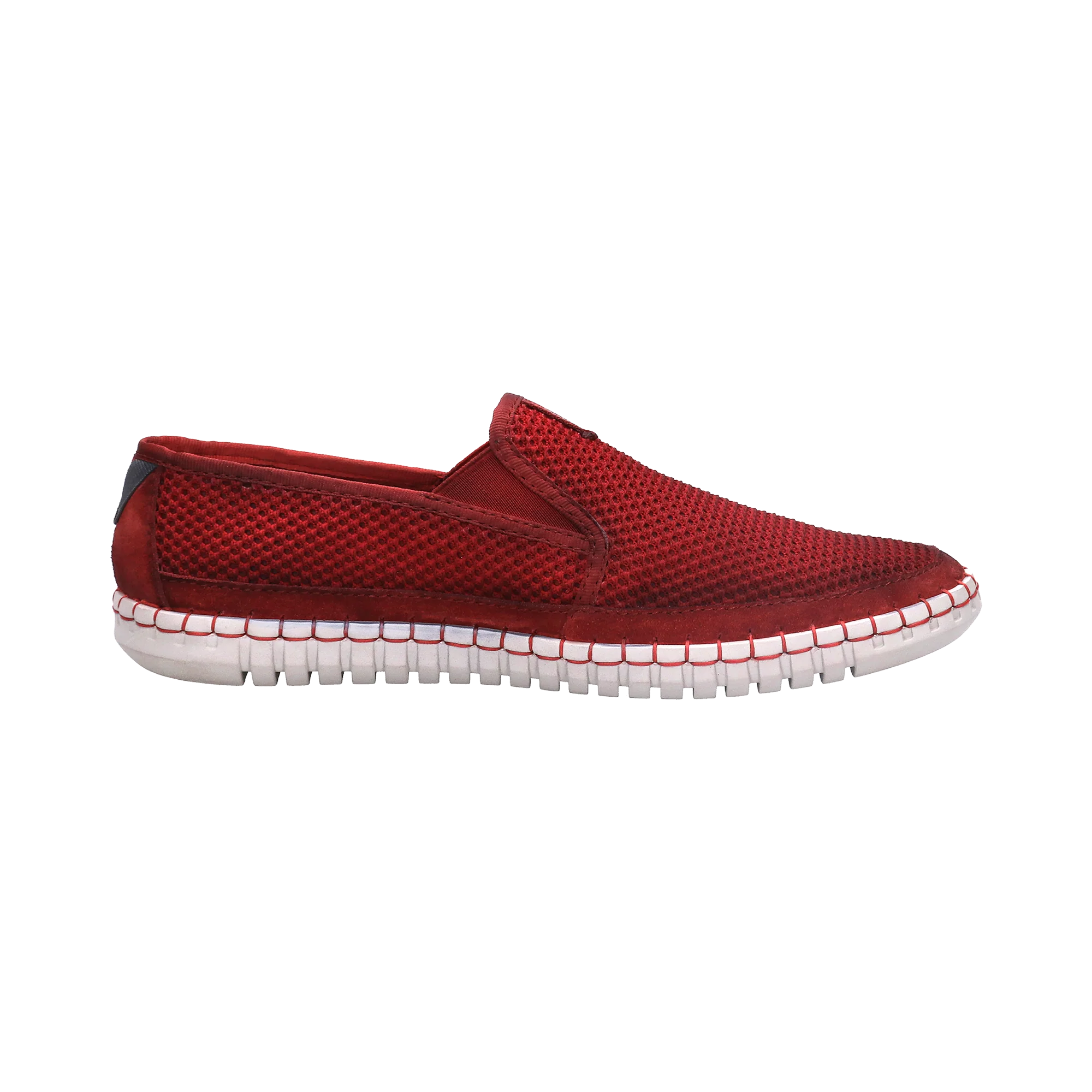 Slipper rot - Image 4