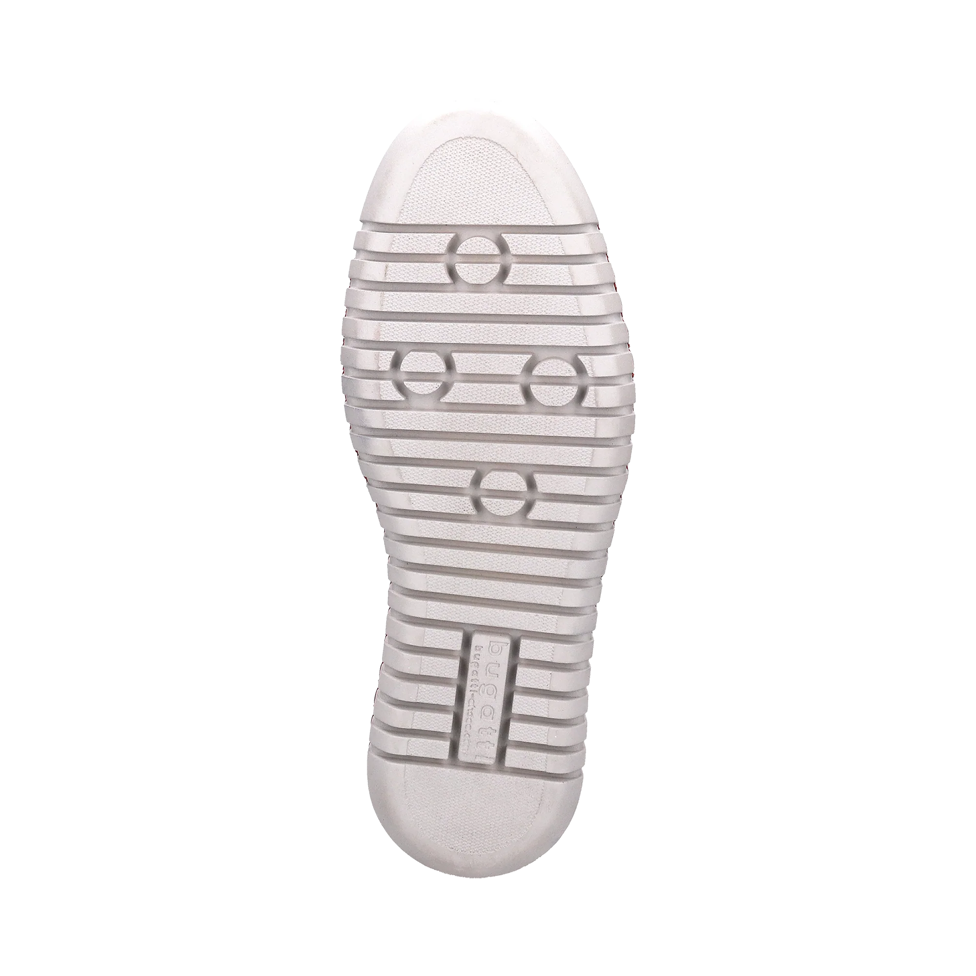 Slipper rot - Image 7